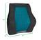 Mind Reader Teal & Black Ergonomic Back Cushion